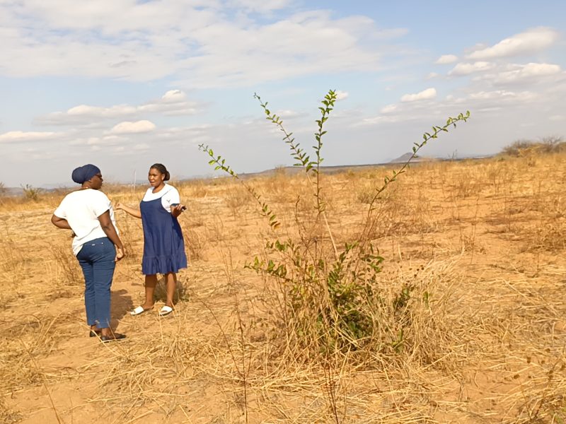 TAFUTA HAPA AINA YA KIWANJA, NYUMBA AU SHAMBA UNALOTAKA